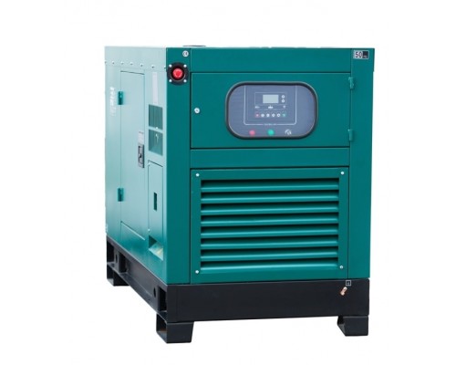 Газовый генератор 11 кВт REG G12-1-RE-LS с автозапуском + АВР