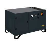 Газовый генератор 5 кВт Gazvolt Pro 6250 Neva 08 с автозапуском + АВР